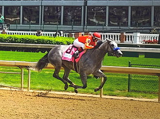 Napravnik riding Midnight Lucky to win the 2014 Humana Distaff at Churchill Downs Midnight Lucky.jpg