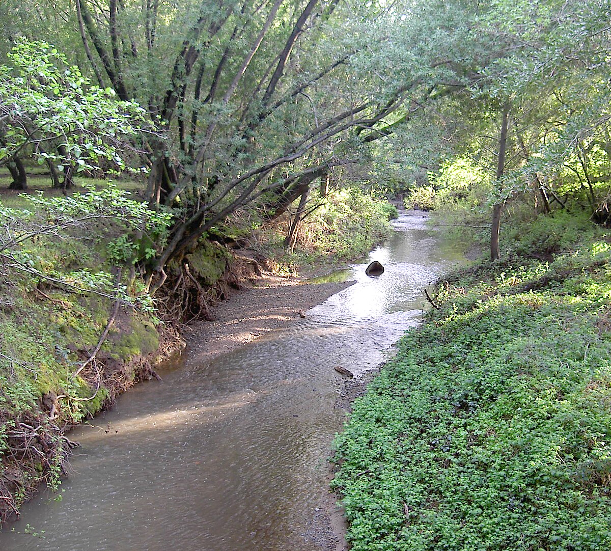 Miller Creek (Marin County, California) - Wikipedia