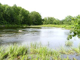 Moira River River in Ontario, Canada