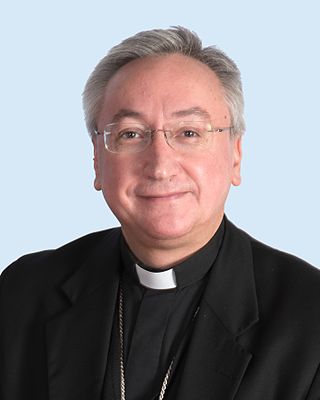 <span class="mw-page-title-main">José Rico Pavés</span> Spanish Roman Catholic bishop