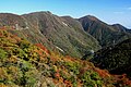 2013年1月26日 (土) 08:56時点における版のサムネイル