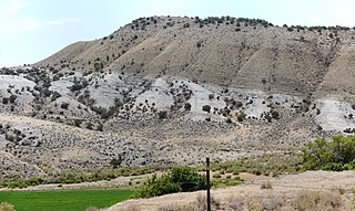 <span class="mw-page-title-main">Mowry Shale</span> Geologic formation in Wyoming, USA