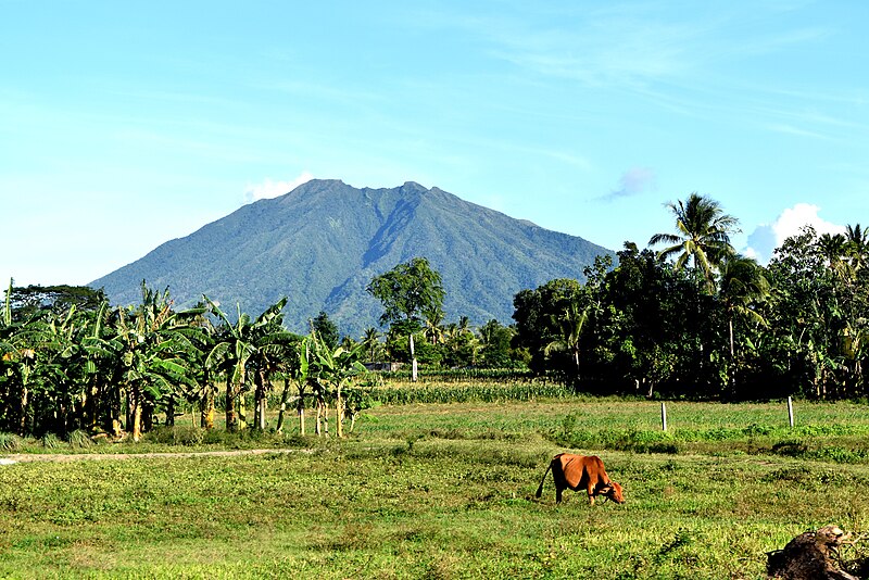 File:Mt. Asog seen at Baao1.JPG