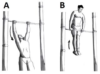 <span class="mw-page-title-main">Muscle-up</span> Bodyweight exercise