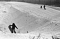 Des jeunes qui chargent du bois pour le camapement