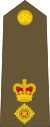 Oberstleutnant