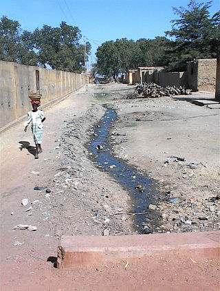 <span class="mw-page-title-main">Niono</span> Commune and town in Segou, Mali