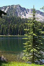 Thumbnail for North Fork John Day Wilderness