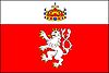 Bandeira de Nový Bydžov