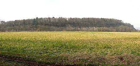 Ohrberg Panorama