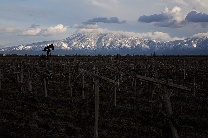 File:Oil, wine, and snow-capped mountains.jpg