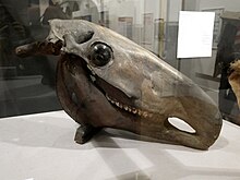 Old Horse head that mummers threw into a pond at Hooton Pagnell Hall in the 1880s Old Horse from Hooton Pagnell Hall displayed at the Maidstone Museum (01).jpg