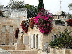 Old Jerusalem flowers on the roof of the cardo.jpg