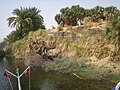 On the Nile (2428675676).jpg