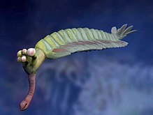 https://upload.wikimedia.org/wikipedia/commons/thumb/8/84/Opabinia_regalis_life_restoration.jpg/220px-Opabinia_regalis_life_restoration.jpg