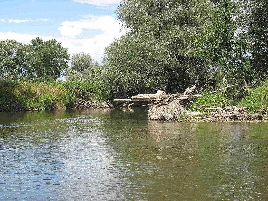 Opava (fiume)