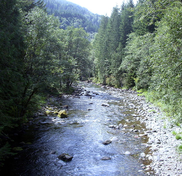 File:Oregon Salmon River Clackamas County from bridge looking west P1651.jpeg