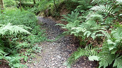 Gravel stream beds in Germany