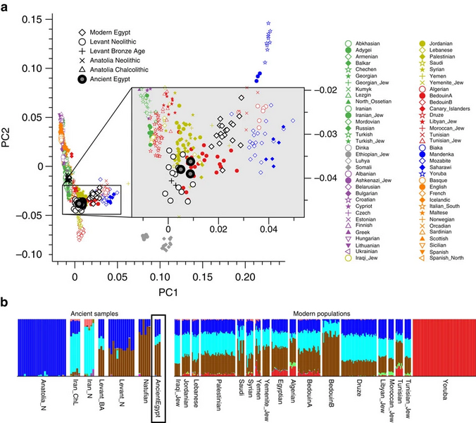 File:PCA Admixture analysis Ancient Egyptian mummies.webp