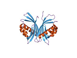 PDB 1jb5 EBI.jpg