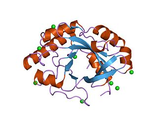 Glycoside hydrolase family 25