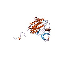 PDB 1m14 EBI.jpg