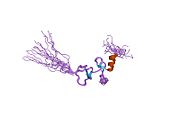 PDB 1x3h EBI.jpg