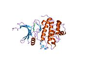 PDB 2c3l EBI.jpg