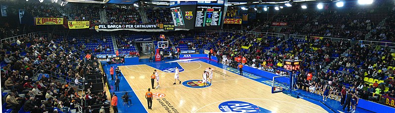 Panoramical view during a EuroLeague basketball game in February 2008.