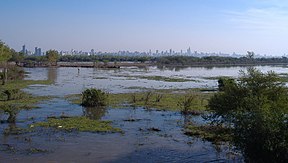 Delta do Paraná perto de Rosario.jpg