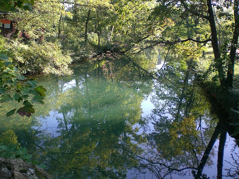 File:Parc tete or verdure lac.jpg