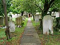 Pathway through the churchyard at the medieval Church of Saint Peter and Saint Paul in Milton-next-Gravesend.