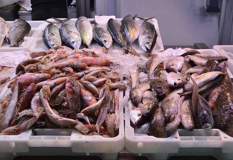 File:Peix al mercat central d'Alacant.JPG