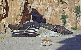 Petra ve Wadi Rum'dan Bedu makalesinin açıklayıcı görüntüsü