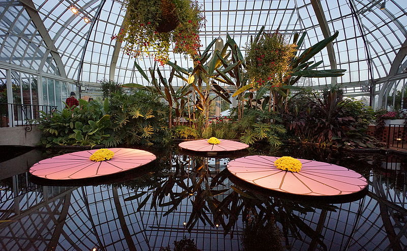 File:Phipps Conservatory 30.jpg