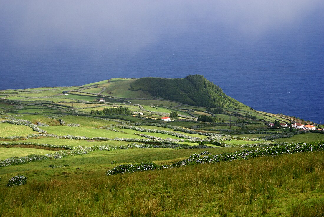 Pico do Loiçano