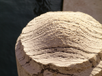 Balaustra in pietra d'Istria