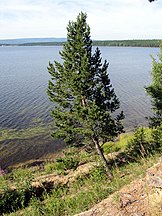 Lake Arey, Bal'zoj, Chitinskaya Oblast, Russia