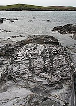 Миниатюра для Файл:Pitted Rock Surface - geograph.org.uk - 1903620.jpg