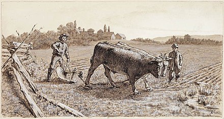 Ploughing with Oxen by George H. Harvey, Nova Scotia, Canada, 1881
