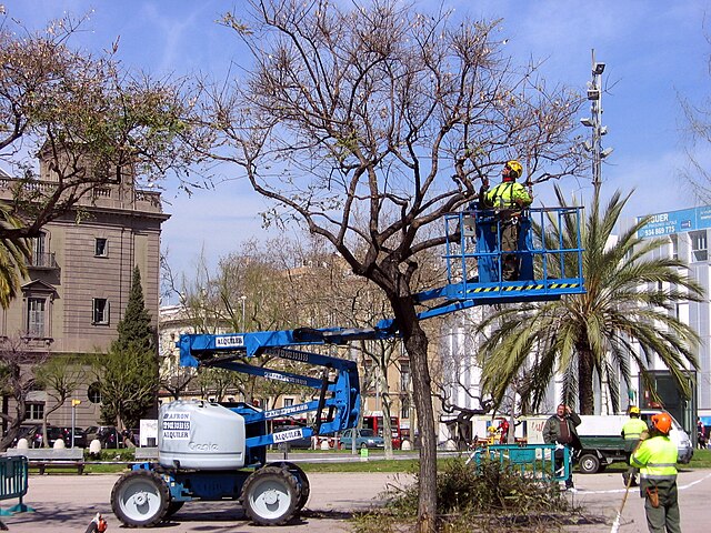 Pruning work.