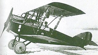 <span class="mw-page-title-main">Pomilio Gamma</span> Type of aircraft