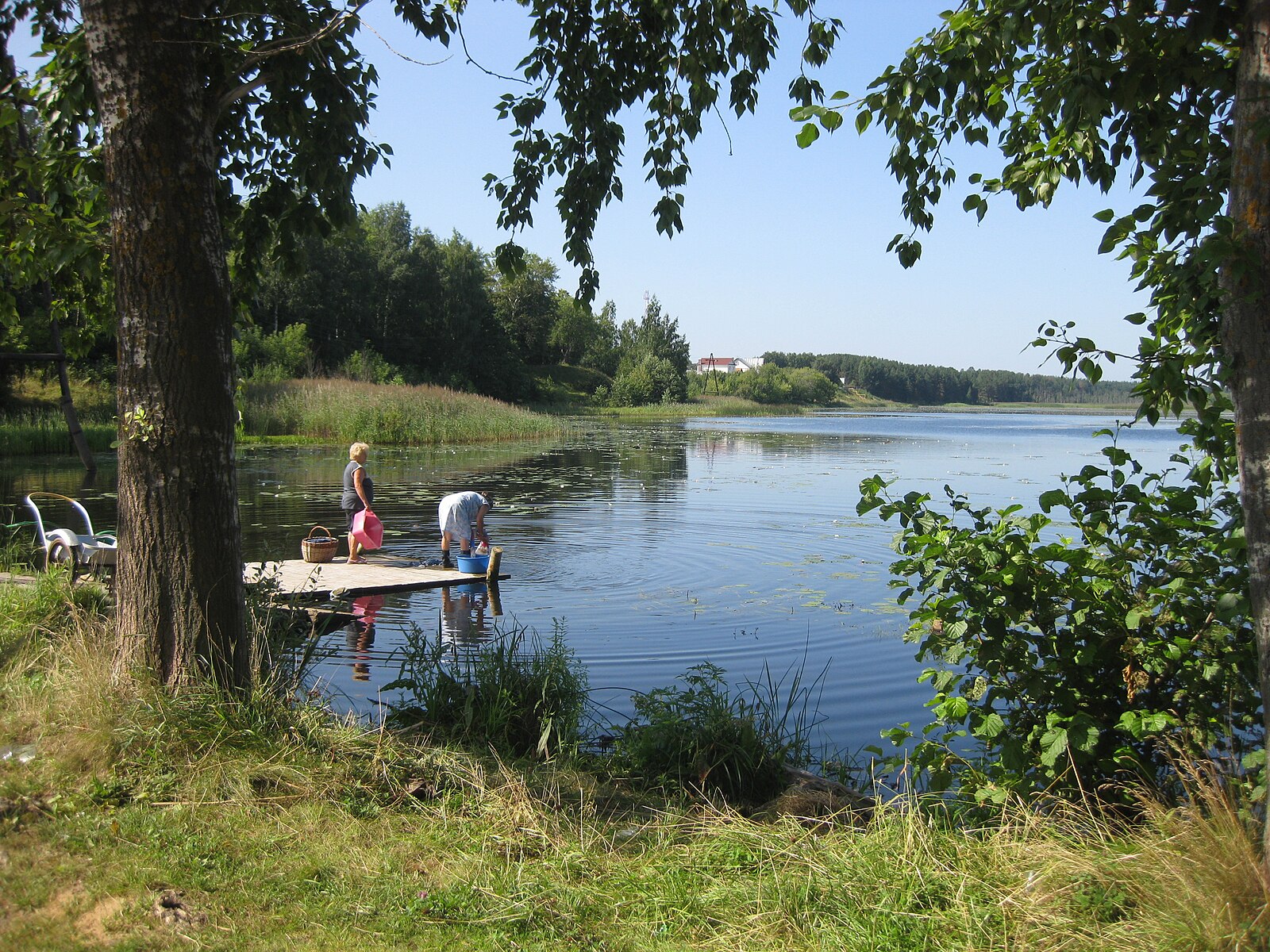 Водоемы новгорода. Озеро в Козино Нижегородская область. Пруд большое Козино Нижний Новгород. Посёлок Козино. Поселок Козино Нижний Новгород.