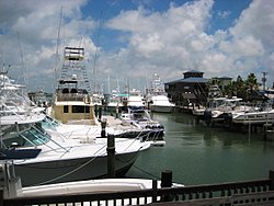 Port Aransas'ta tekne iskelesi.