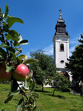 Illustrasjonsbilde av artikkelen Church of the Presentation of the Mother of God at the Inđija Temple