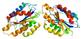 Структура белка ITGA1