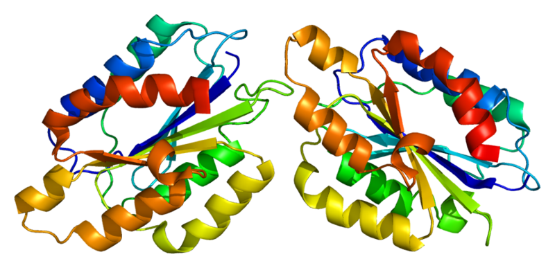 File:Protein ITGA1 PDB 1ck4.png