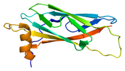 Protein VAPA PDB 1z9l.png