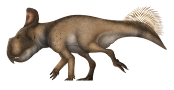 Life restoration of Protoceratops andrewsi