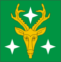 Vlag van de gemeente Puka